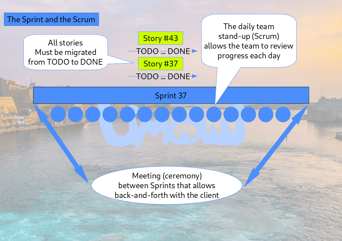 The goals of a Sprint are simple: move all planned stories from TODO to DONE